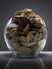 Seashells in glass fishbowl on table