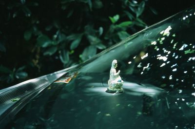 Close-up of statue in car