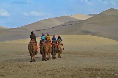 Rear view of tourists riding camel at desert