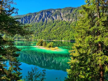 Scenic view of lake by trees against blue sky