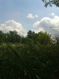 Scenic view of field against cloudy sky