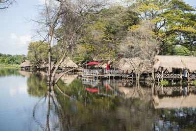 Scenic view of lake by trees and plants