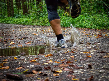 Low section of person wearing shoes in forest