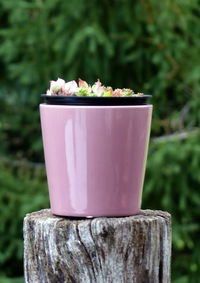 Close-up of pink flowers on table