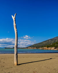 Scenic view of beach against blue sky