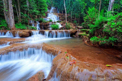 Scenic view of waterfall in forest