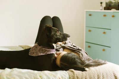 Woman with dog lying on bed at home