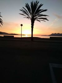 Silhouette palm tree on beach against sky during sunset