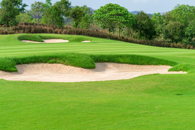 Golfcourse, beautiful landscape of a golf court with trees and green grass.