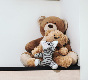 Close-up of stuffed toy against white background