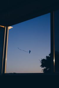 Low angle view of birds flying against the sky