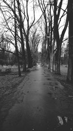 Road passing through trees