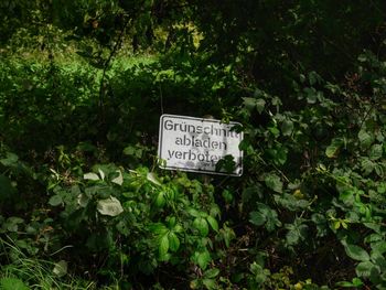 Information sign on tree