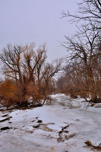 Bare trees on snow covered landscape against sky