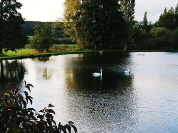 Scenic view of lake