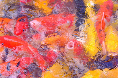 Close-up of abstract background