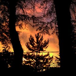 Silhouette of bare tree against cloudy sky