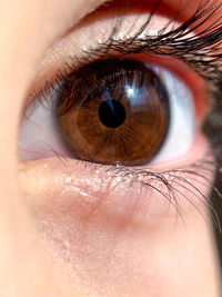 Close-up of human eye