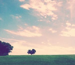 sky
