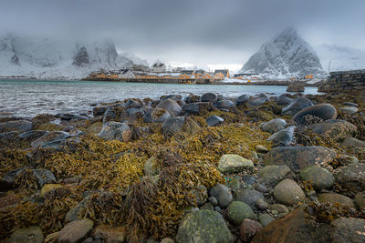 Scenic view of sea against sky during winter