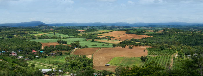 High angle view of trees on field against sky