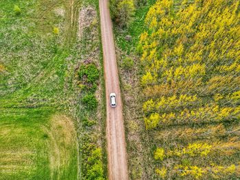 High angle view of agricultural field