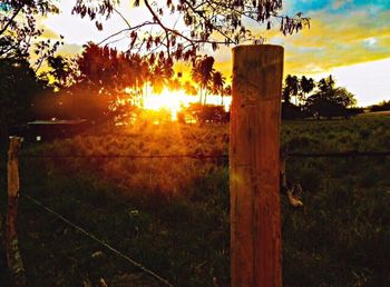 Scenic view of field against sky at sunset