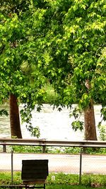 Empty bench in park