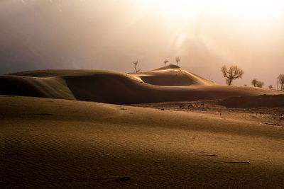 Beautiful desert at sunrise on mountain landscape background.