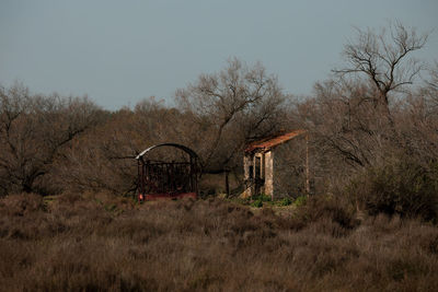 Plants and trees on field against clear sky