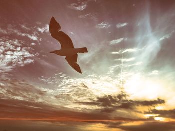 Low angle view of silhouette kite against sky