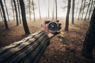 Cropped hand holding navigational compass at forest