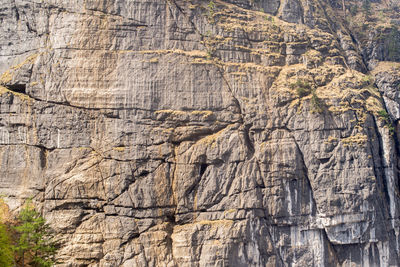 Full frame shot of rock formation