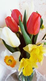 Close-up of yellow tulip in vase