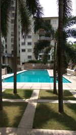 Swimming pool in lawn