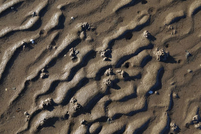 Full frame shot of sand