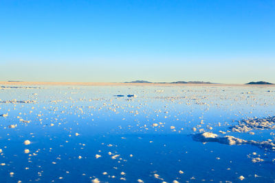 Scenic view of sea against clear blue sky