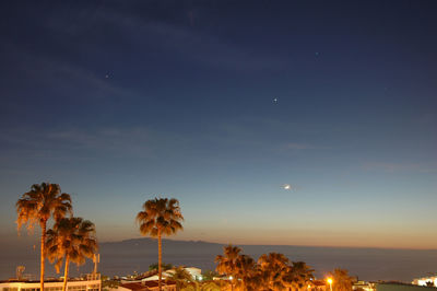 Silhouette palm trees against sky at night