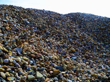 Crowd on shore against sky