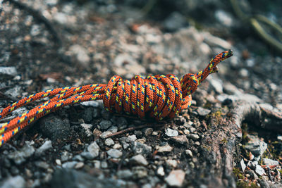 Close-up of orange rope on rock