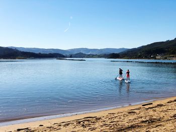 Rear view of men paddle boarding in sea against clear sky