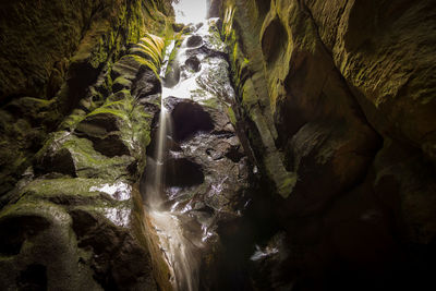 Low angle view of waterfall in forest