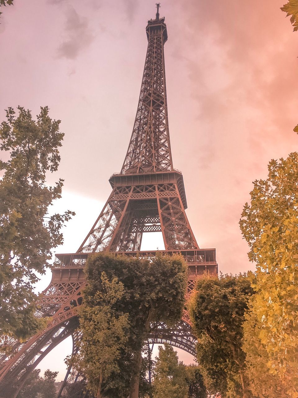 architecture, built structure, tower, tree, travel destinations, the past, history, sky, plant, tourism, metal, nature, tall - high, city, travel, architectural feature, low angle view, no people, outdoors, iron, iron - metal