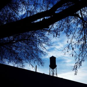 Low angle view of trees against blue sky