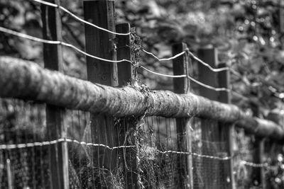 Close-up of metal fence