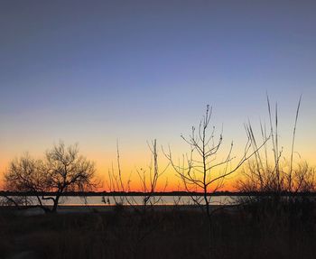 Silhouette trees by grass against sky during sunset