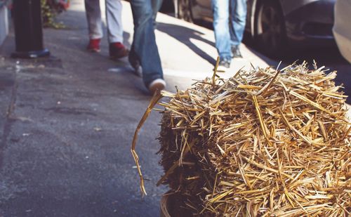 Close-up of straw with people walking in background