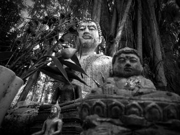 Low angle view of smiling man in forest