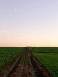 Road passing through agricultural field against sky