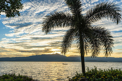 Silhouette palm tree by sea against sky at sunset